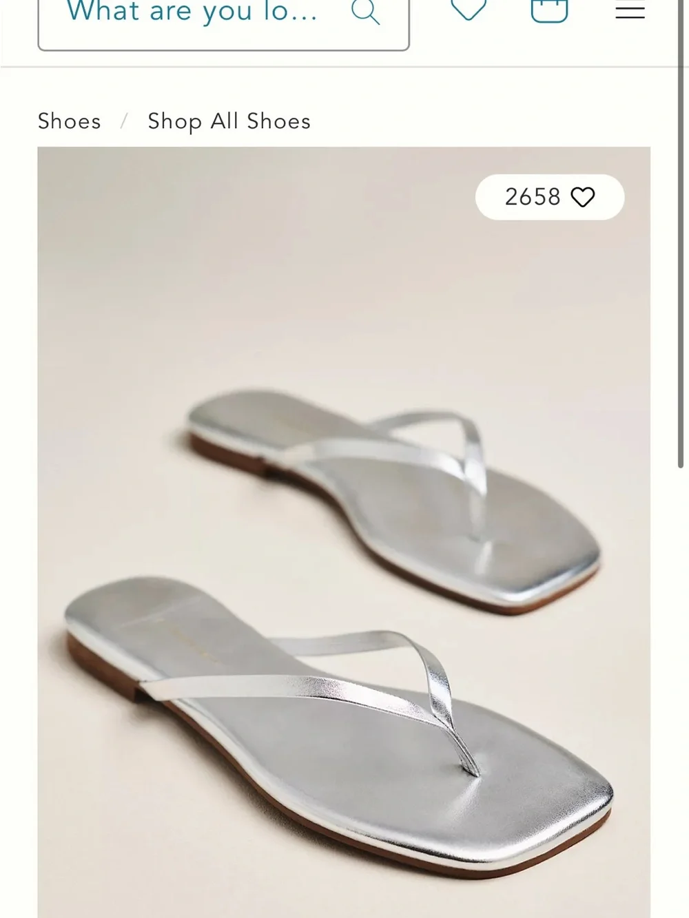 Anthropologie Silver Square-Toed Silent D Rella Jelly Flip-Flop Sandals
